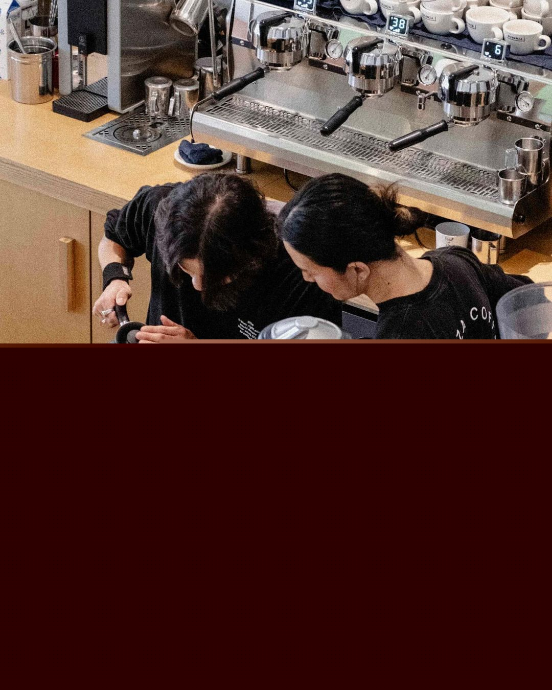 (Bonanza Coffee Roasters Korea)